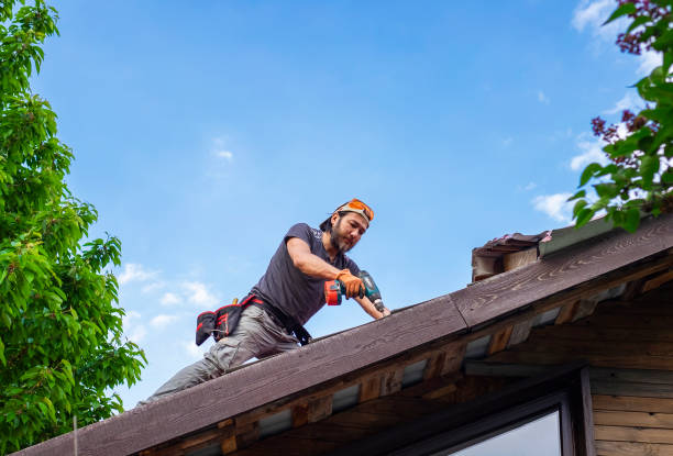 Best Solar Panel Roofing Installation  in Overland Park, KS